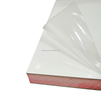 Panneau composite XPS FRP de couleur blanc, noir, gris, lisse, facile à installer, 4x8, pour murs et plafonds de douche