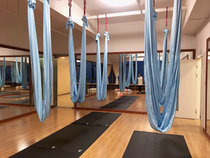 Tissu <span class=keywords><strong>de</strong></span> <span class=keywords><strong>hamac</strong></span> <span class=keywords><strong>de</strong></span> <span class=keywords><strong>Yoga</strong></span> <span class=keywords><strong>de</strong></span> vol d'air <span class=keywords><strong>de</strong></span> haute qualité <span class=keywords><strong>de</strong></span> 7M professionnel à faible étirement pour la balançoire aérienne d'Anti-gravité <span class=keywords><strong>de</strong></span> sports <span class=keywords><strong>de</strong></span> <span class=keywords><strong>Yoga</strong></span> - Product Image 6