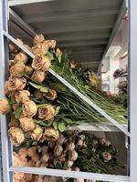 Bouquet de pivoines et roses artificielles à 7 branches, arrangement floral premium d'hibiscus pour la décoration de table de mariage ou de la maison
