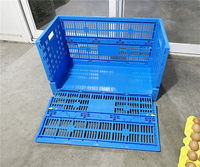 Cage de transport de volaille de poulailler pliable petite Cage pliante en plastique pour le stockage des œufs PE PP matériel maille Style boîte conception