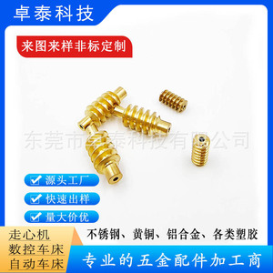 Takuya <b>Worm</b> Gears 46mm Brass Stainless Steel Machined For Robot Vacuum Reducers - Product Image 4
