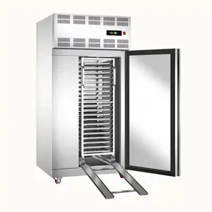 Equipo de refrigeración de cocina de refrigeración por aire de alta eficiencia UntraLow Temperature -80 Iqf Spiral Blast Freezer Machine para peces