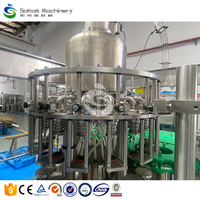 Op Maat Gemaakte Volautomatische Vers Fruit Verwerkingsproductielijn Sap Drank Glazen Fles Vulmachine