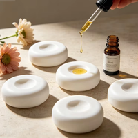 Pierres diffuseuses de parfum naturel à base de plantes, pour huiles essentielles, parfum longue durée, éliminateur d'odeurs, pierre d'aromathérapie sans flamme