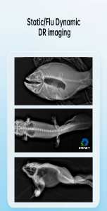 Système d'imagerie vétérinaire multifonctionnel au prix d'usine EUR VET, équipement vétérinaire, scanners panoramiques dentaires CT - Product Image 6