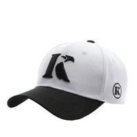 Casquette de baseball d'été pour hommes Casquette de pêche Snapback pour femmes Broderie Papa Chapeau Homme Enfants Gorra