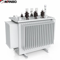 Transformateur de distribution immergé dans l'huile à enroulement en cuivre triphasé Wanbo-295 haute efficacité 100 kVA 10 kV 0,4 kV
