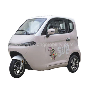 Tricycle électrique Yunlong à <span class=keywords><strong>3</strong></span> <span class=keywords><strong>roues</strong></span>, carrosserie fermée pour passagers, 2 portes, <span class=keywords><strong>3</strong></span> passagers, moteur 1000W+, <span class=keywords><strong>permis</strong></span> de conduire requis - Product Image 3