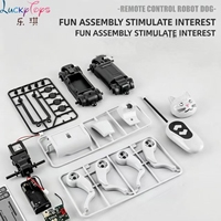 Kit STEM Chien-Renard Robot Électrique Transformable DIY – Jouet Scientifique Éducatif à Assembler avec Têtes Interchangeables pour Enfants (Intérieur/Extérieur)