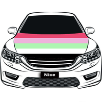 Housse de capot de voiture personnalisée en polyester extensible, motif arc-en-ciel gay, pour défilés de fierté, arrière-plan photo et protection solaire pour capot de voiture