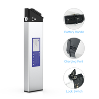 Batteries lithium-ion 48v 20ah Batterie pour vélo électrique Type poisson argenté Batterie pour vélo électrique