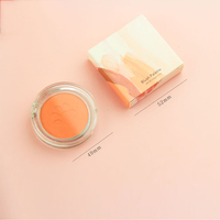 Palette de fard à paupières motif patte de chat, Palette de Blush pour le visage, sans LOGO, 10 couleurs, simple