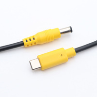 Adaptateur TYPE-C PD12V 20V personnalisé en usine avec connecteur mâle 5.5*2.1, longueur 0.8M, 1M