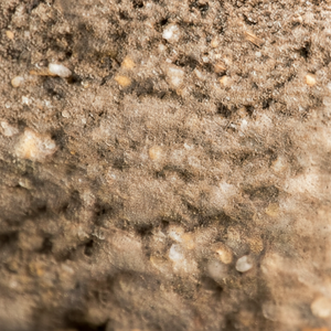Compost de fumier organique pour parterres de fleurs Engrais naturel pour la croissance des légumes Vermicompost biologique écologique pour plantes d'arbres - Product Image 1