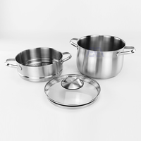 AXA Dampfer zum Kochen, 304-Edelstahl-Dampfertopf, Speisen-Dampfer 24 Zoll Dampfgläser mit Deckel 2-stufig für Suppen