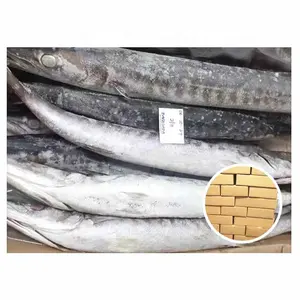 Supplying UAE Origin Fish WR 200-300g 300-500g Frozen Lizard Fish