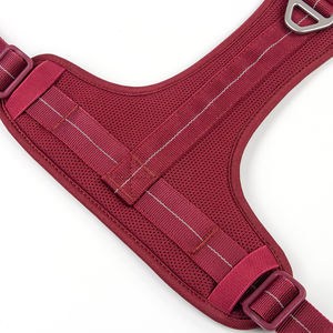 軽量、パッド入り、耐久性、調節可能、通気性のあるメッシュ裏地、犬用ハーネス、引っ張り防止、おしゃれなペットハーネス、ランニング、ハイキング用 - Product Image 4