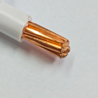600V cobre trenzado Thhn Thw Cable 14 12 10 8 AWG conductor de cobre cable eléctrico Thhn