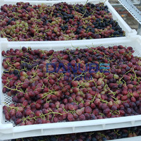 Four de séchage industriel pour la transformation alimentaire, déshydrateur de fruits, sécheuse de raisins, de noix de betel, de figues, de pruneaux et d'abricots