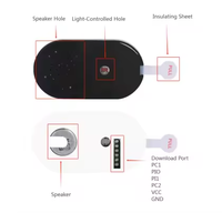 Modul Suara Sensor Aktif Cahaya Berkualitas Tinggi dengan Chip Musik yang Dapat Diunduh melalui USB untuk Kartu Ucapan