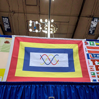 Drapeau promotionnel personnalisé 3x5 pieds, bannière volante extérieure avec logo personnalisé, tout design, drapeau personnalisé 90*150cm