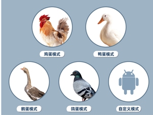 حاضنة منزلية صغيرة لفقس الدجاج والبط والحمام-حاضنة دجاج صندوق فقس لـ ، - Product Image 5