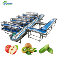 Shepody Automatische Fruit Sorteermachine voor pruimen en pomelo, hoge snelheid, SUS304 fruit- en groentesorteermachine