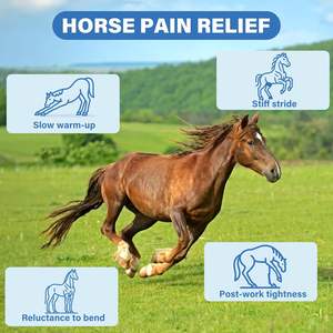 <strong>Horse</strong> Joint Supplement <strong>Glucosamine</strong> MSM Chondroitin Daily Equine Immune Support Easy-to-Feed Soft Chews 750g <strong>for</strong> Large - Product Image 4