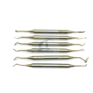 Ensemble d'outils de nettoyage des tissus mous dentaires, 6 pièces, acier inoxydable, instrument d'hygiène buccale professionnel, réutilisable, CE ISO - Product Image 2