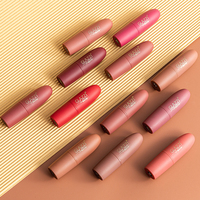 Rouge à lèvres mat crémeux en velours, nourrissant, imperméable, longue tenue, haute pigmentation, anti-transfert, 12 teintes, OEM ODM, étiquette privée