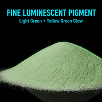 Pigment Luminescent Phosphorescent Inorganique Pampascolor Non Toxique à Luminescence Nocturne pour Cuir et Pigments de Revêtement