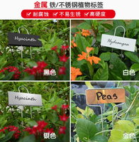 Étiquettes pour plantes avec double pointe, marqueurs de jardin durables et résistants aux intempéries, étiquettes en acier inoxydable pour l'identification des plantes d'extérieur