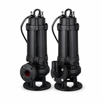 Pompe submersible à double canal en acier inoxydable et fonte, haute performance, pour drainage des eaux usées industrielles en usine, OEM