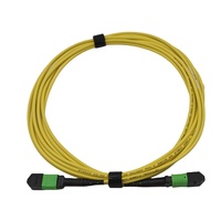 MPO vers MPO femelle mâle 12 fibres monomode OS2 plénum cordon de raccordement à fibre optique utilisation pour équipement à fibre optique