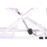 Table de toilettage élévatrice électrique pliable spéciale pour animaux de compagnie
