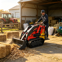 SDLOT Kompakter Mini-Radlader mit Kubota Dieselmotor CE EURO5 Hydraulischer Schneegreifer für Winter-Gartenarbeiten