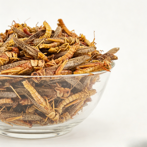 Friandise pour animaux de compagnie 100 % naturelle à base de sauteurs séchés, riche en protéines, sans céréales, pour le développement musculaire et la santé des articulations, saveur barbecue - Product Image 3