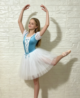Robe de tutu de ballet en velours bleu pour filles, manches bouffantes, vêtements de danse pour enfants, costume de scène classique