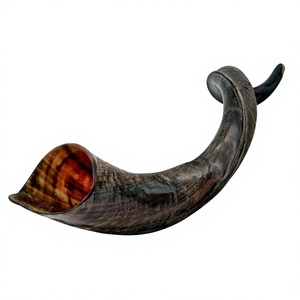 Shofar en corne de bélier naturelle, brut, fait main, non fini, pour la fabrication de shofars et l'artisanat - Product Image 4