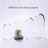 Cloche en verre dôme et base, jardinière de terrarium transparente de 5.9x7 pouces pour plante carnivore, petit cactus, succulente, décor de table