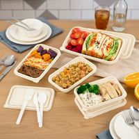 Boîtes à bento rectangulaires jetables de 500, 650, 750 et 1000 ml, écologiques, sans BPA, biodégradables, pour emporter les repas