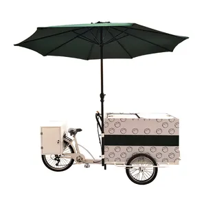 Best Price Electric Solar Ice Cream Trucks Food Cart Tricycle Ice Cream Bike MobileTricycle Freezer Bicycle