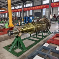 Générateur de turbine à vapeur pour chaudière à combustible à base de balles de riz et projets de centrales électriques à biomasse
