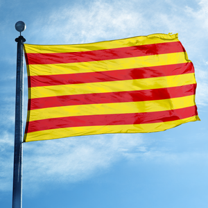 Bandera de Cataluña 3x5FT, Bandera Catalana Senyera con Rayas Amarillas y Rojas para Decoración Interior y Exterior - Product Image 6