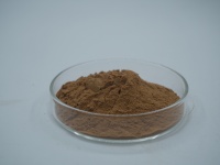 Extrait de Plante : Extrait de Peau d'Areca, Compléments Alimentaires en Poudre, Qualité Alimentaire, Extraction par Solvant
