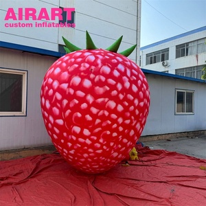 Myrtille gonflable géante pour les promotions agricoles Ballon gonflable pour les salons professionnels - Product Image 6