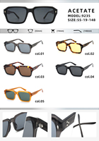 Lunettes de soleil polarisées de luxe rétro pour hommes et femmes, avec logo personnalisé, monture carrée épaisse en acétate, par des fabricants de créateurs