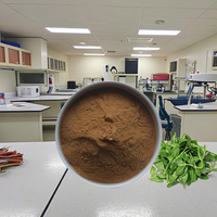 Ekstrak Herbal Andrographis Paniculata Bubuk Kelas Makanan yang Larut dalam Air dengan Vitamin, Partikel Halus dalam Botol - Langsung dari Produsen