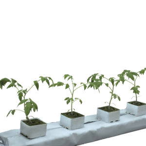 KAIHUA KH-GS Hydroponic yetiştirme tarım büyüyen kaya yünü orta levha çanta büyümek - Product Image 3