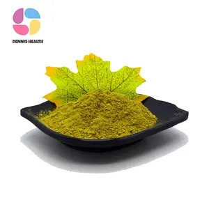 Flavonoides de hoja de Moringa naturales puros de alta calidad 3% polvo de extracto de hoja de Moringa